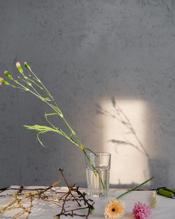 A calm and minimalist space for a yoga practice.